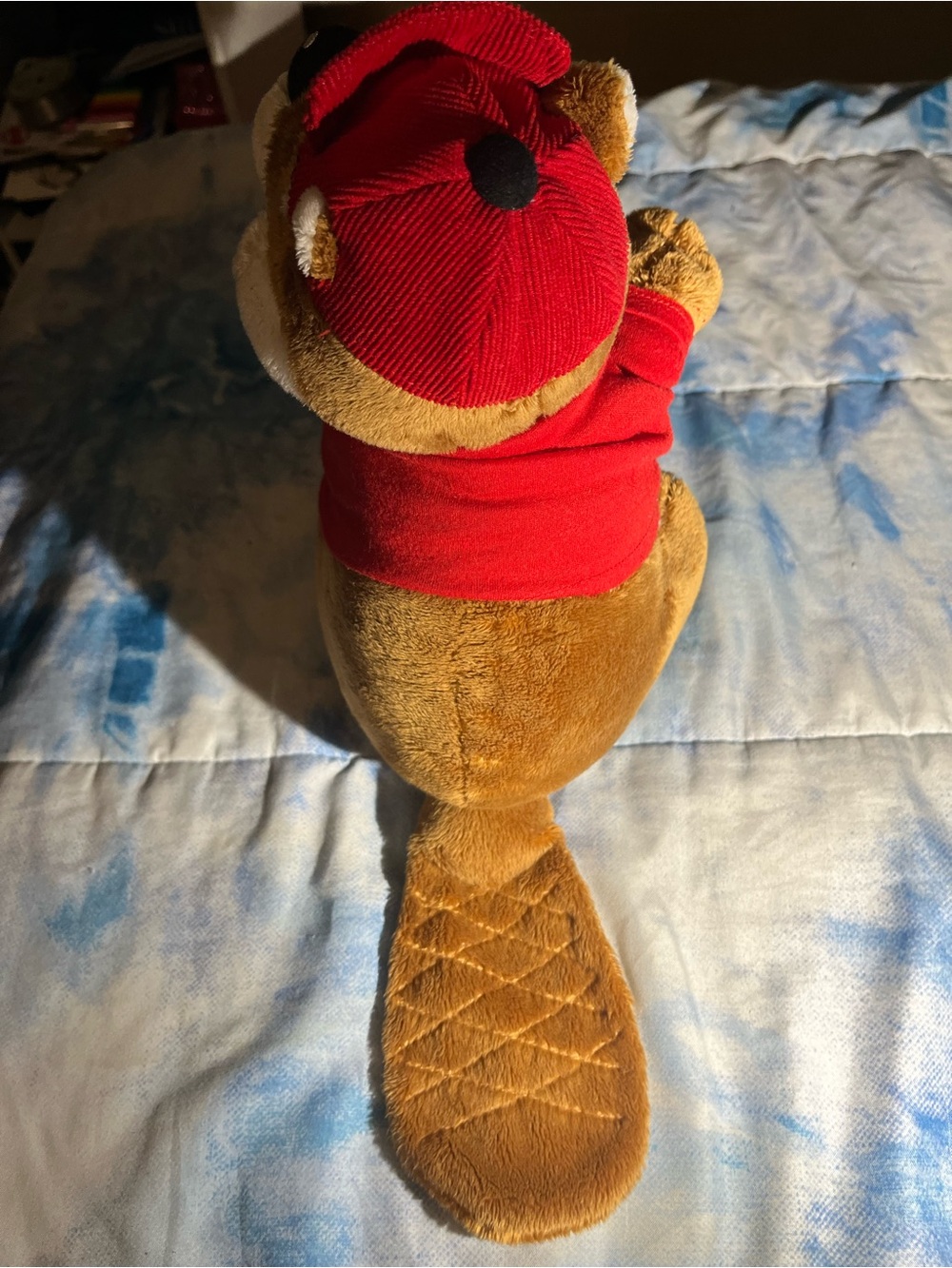 Buc-ees plush - Picture 2 of 2